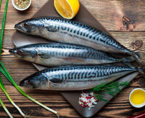 Foreign Mackerel (1kg-20kg)