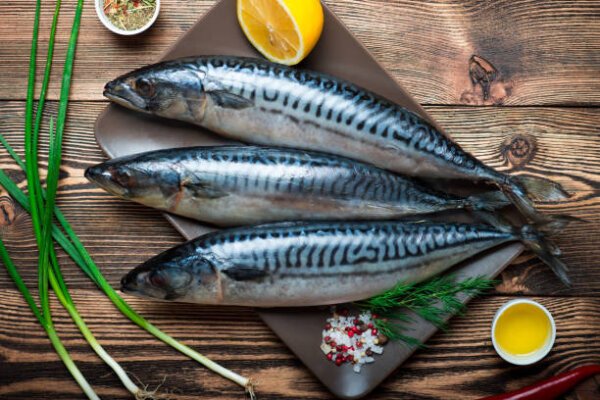 Foreign Mackerel (1kg-20kg)