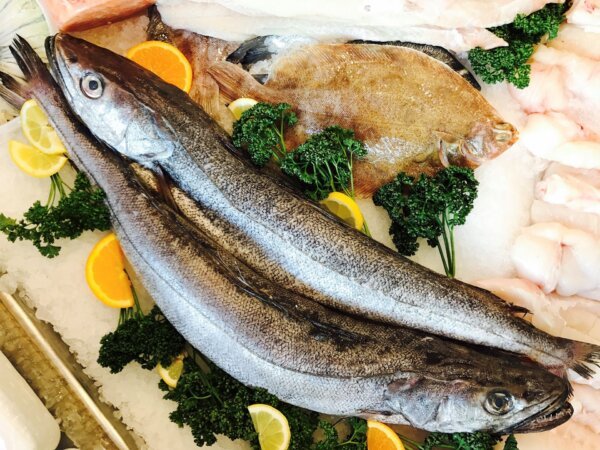 Silver Hake 10kg