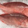 Red Fish (1kg-10kg)