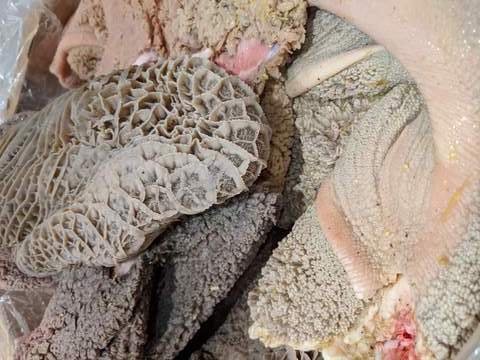 Beef Tripe (1kg-10kg)