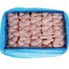 Chicken Drumsticks (1kg-10kg)