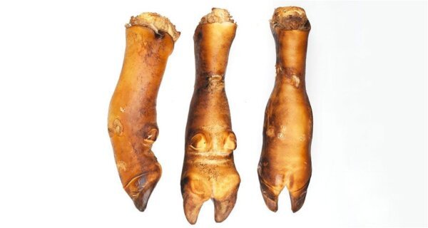 Cow Feet- burnt (1kg-20kg)