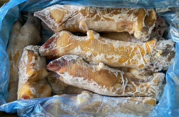 Cow Feet- burnt (1kg-20kg)