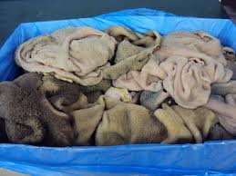 green-tripe Beef Tripe (1kg-10kg)